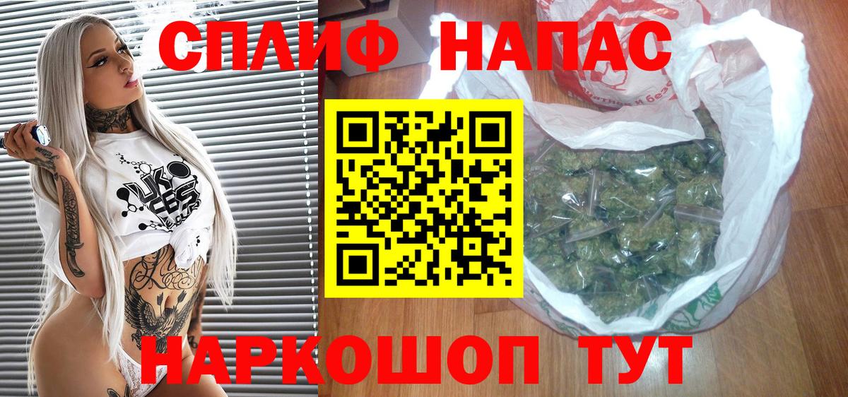 Конопля гибрид Киров